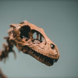 pexels-theshuttervision-9660895_optimized_2000